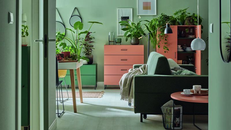 Чорна п'ятниця в VOX