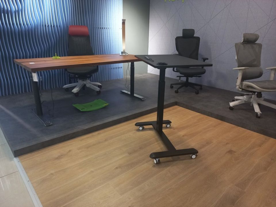 Відкриття салону Ergolife